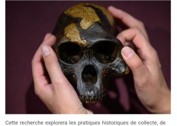 Culture – Musées Une étude réévalue la place de l’Afrique dans l’histoire des musées