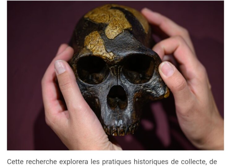 Culture – Musées Une étude réévalue la place de l’Afrique dans l’histoire des musées